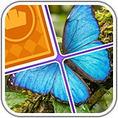 Game Icon